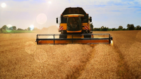 В США ухудшился прогноз урожая пшеницы